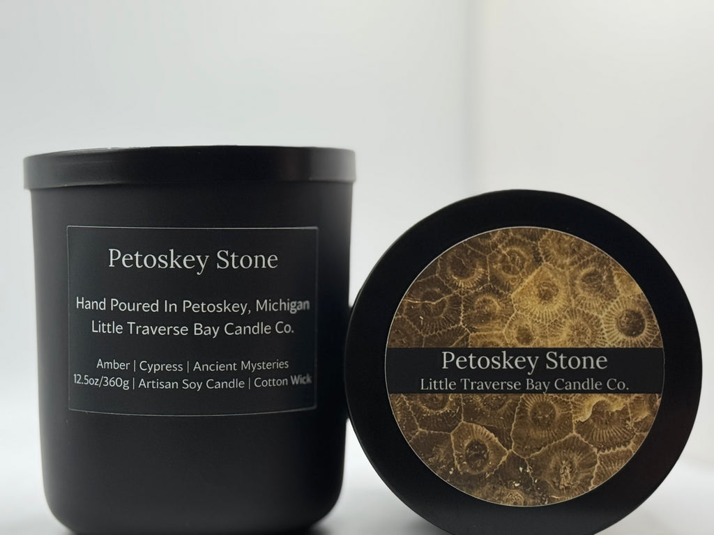 Petoskey Stone
